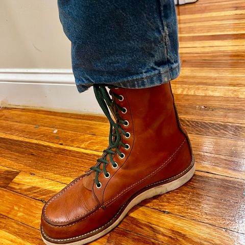 Search result thumbnail of Red Wing 8-Inch Classic Moc in S.B. Foot Oro Legacy