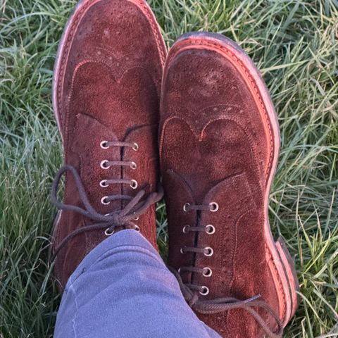 Tricker's Simon Longwing Brogue Boot in C.F. Stead Ridge Waxed Reverse Suede