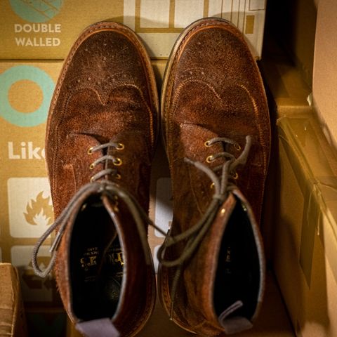 Tricker's Simon Longwing Brogue Boot in C.F. Stead Ridge Waxed Reverse Suede