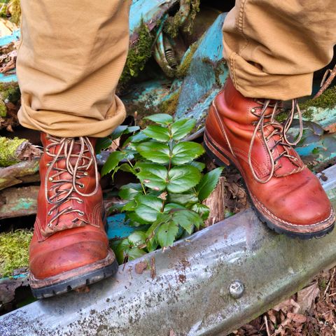 Nicks DomePro in Wickett & Craig Natural Double Stuffed