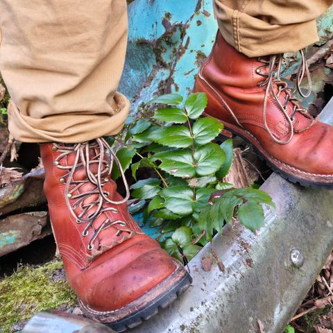 Nicks DomePro in Wickett & Craig Natural Double Stuffed