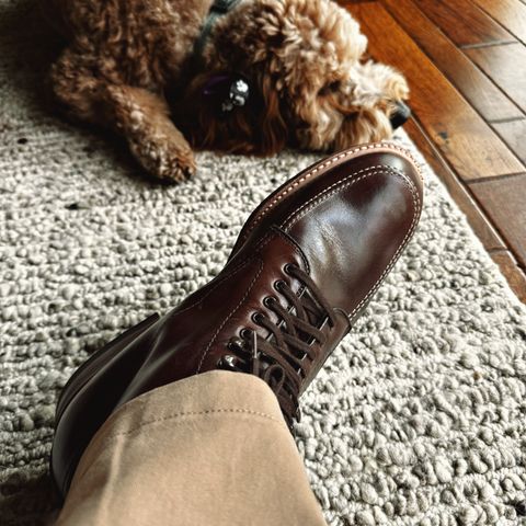Alden Indy Boot in Horween Brown Chromexcel
