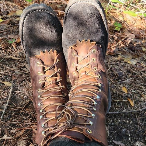 Frank's The Patriot in Seidel Walnut Oil Tan & Black Roughout Work Leather