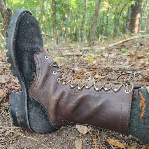 Frank's The Patriot in Seidel Walnut Oil Tan & Black Roughout Work Leather