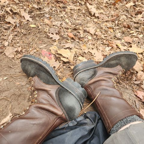 Frank's The Patriot in Seidel Walnut Oil Tan & Black Roughout Work Leather