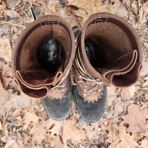 Frank's The Patriot in Seidel Walnut Oil Tan & Black Roughout Work Leather