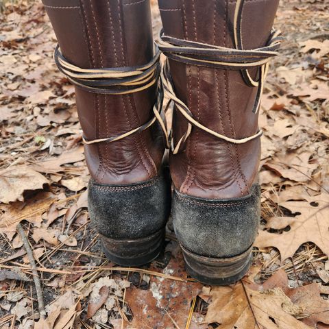 Frank's The Patriot in Seidel Walnut Oil Tan & Black Roughout Work Leather