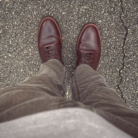 Thursday President in Brown Thursday Chrome