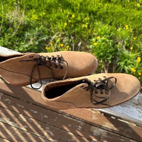 Search result thumbnail of Oak Street Bootmakers Storm Boot in Horween Natural Chromexcel Roughout