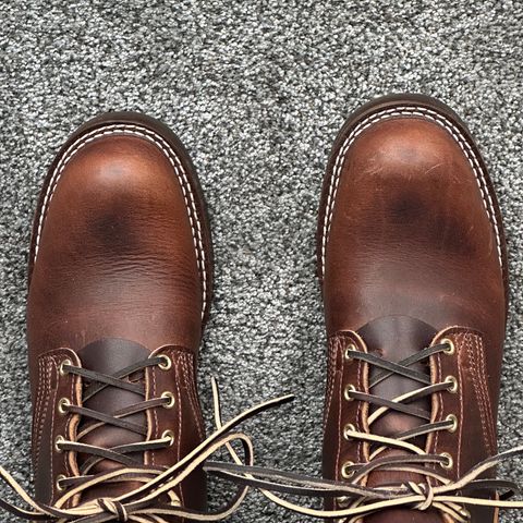 View photo of Nicks AL64 in Italian Brown Cypress
