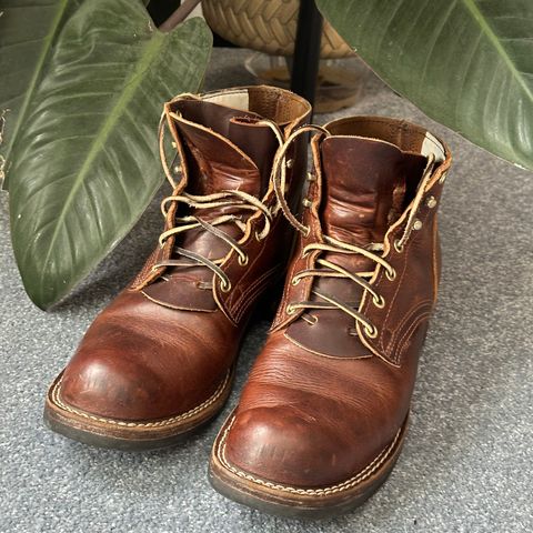 View photo of Nicks AL64 in Italian Brown Cypress