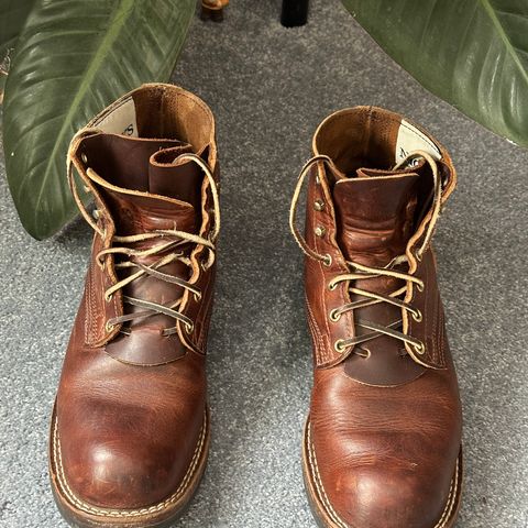 View photo of Nicks AL64 in Italian Brown Cypress