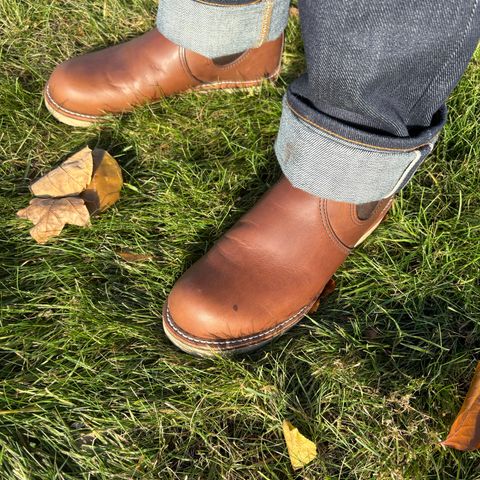 Red Wing Classic Chelsea in S.B. Foot Amber Harness