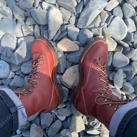 Wesco Jobmaster in Seidel Redwood Oil Tan