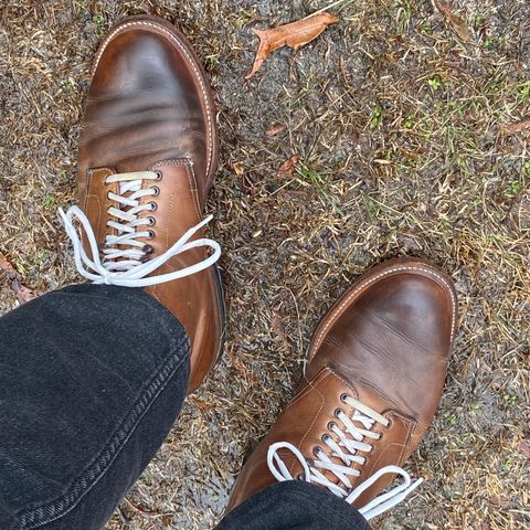 View photo of Alden Plain Toe Boot in Horween Natural Chromexcel