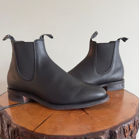 Search result thumbnail of R.M. Williams Comfort Craftsman Boot in Black Yearling