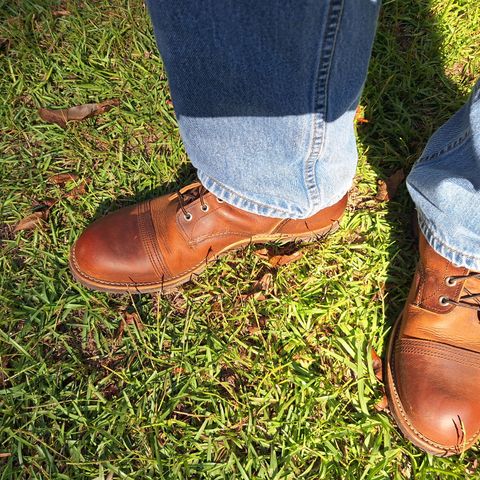 Red Wing Iron Ranger in S.B. Foot Copper Rough and Tough