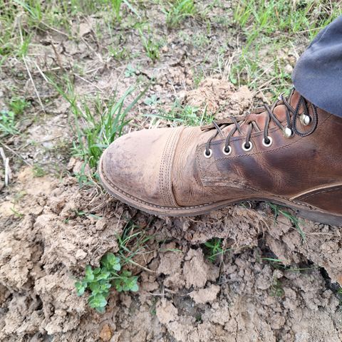 Red Wing Iron Ranger in S.B. Foot Copper Rough and Tough