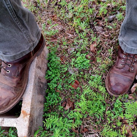 Red Wing Iron Ranger in S.B. Foot Copper Rough and Tough
