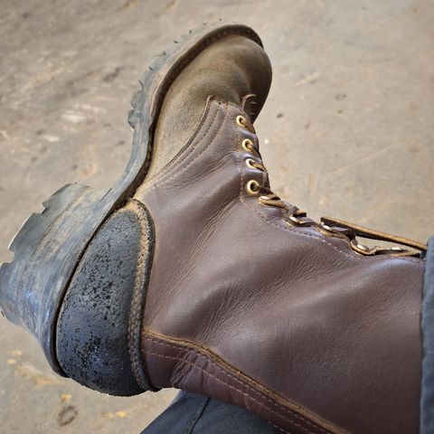 Frank's The Patriot in Black Roughout Work Leather & Seidel Walnut Oil Tan