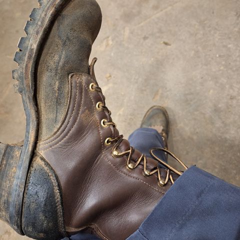 Frank's The Patriot in Black Roughout Work Leather & Seidel Walnut Oil Tan