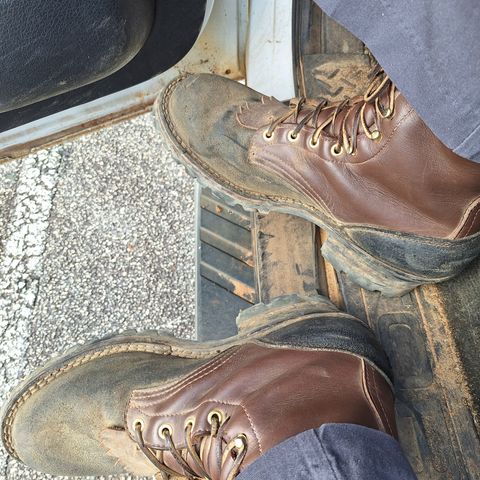 Frank's The Patriot in Black Roughout Work Leather & Seidel Walnut Oil Tan