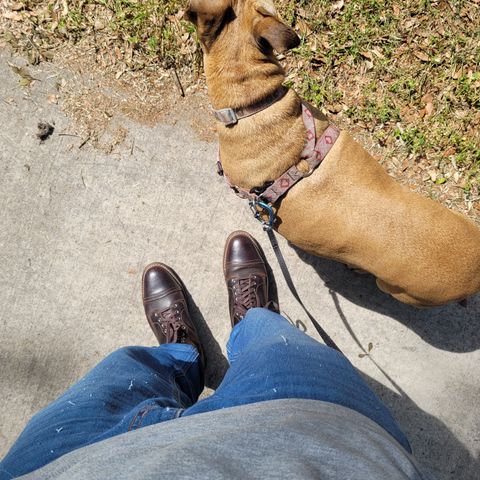 Thursday Logger in Horween Waxed Cacao