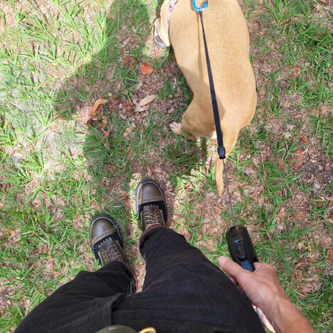 Search result thumbnail of White's Bounty Hunter in Horween Olive Waxed Flesh & Seidel Black Oil Tan Roughout