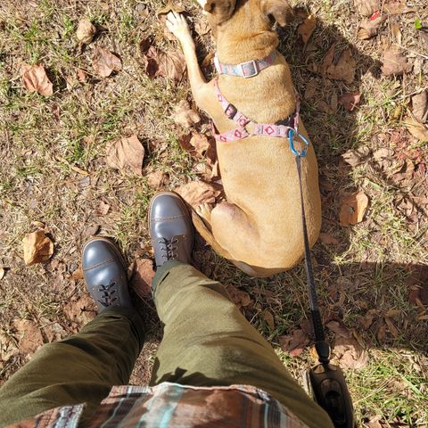 Iron Boots The Chosen One in Maryam Grigio Shell Cordovan