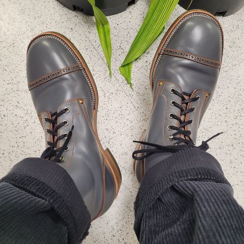 Iron Boots The Chosen One in Maryam Grigio Shell Cordovan