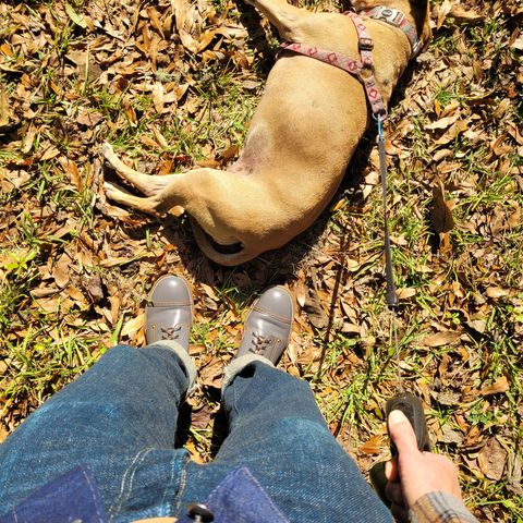 Iron Boots The Chosen One in Maryam Grigio Shell Cordovan
