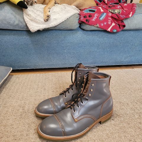 Iron Boots The Chosen One in Maryam Grigio Shell Cordovan