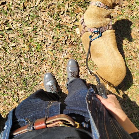 Iron Boots The Chosen One in Maryam Grigio Shell Cordovan