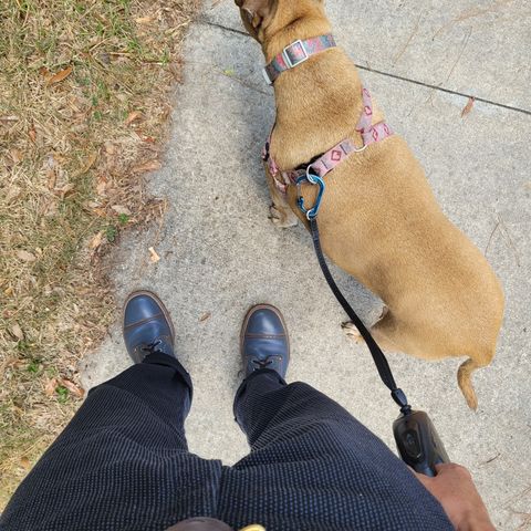 Iron Boots The Chosen One in Maryam Grigio Shell Cordovan