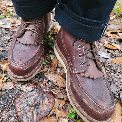 Grant Stone Field Boot in Seidel Walnut Bison