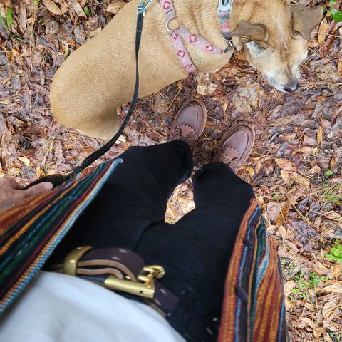 Grant Stone Field Boot in Seidel Walnut Bison