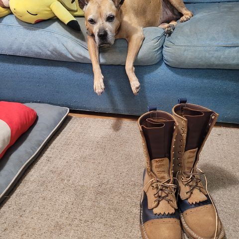 Frank's Type 2 Highlander in Seidel Tan Teton Roughout & Horween Ink Cavalier