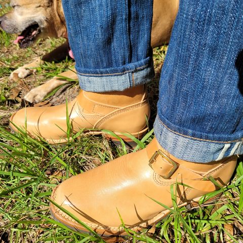 Wesco Mister Lou in Maryam Natural Horsebutt