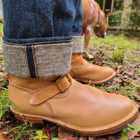 Wesco Mister Lou in Maryam Natural Horsebutt