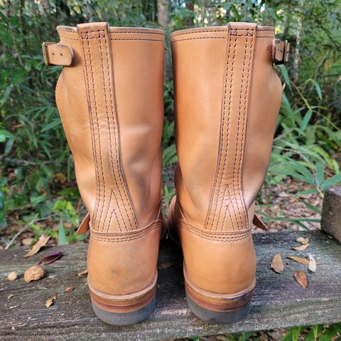 Wesco Mister Lou in Maryam Natural Horsebutt
