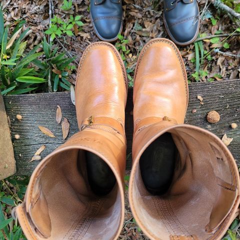 Wesco Mister Lou in Maryam Natural Horsebutt