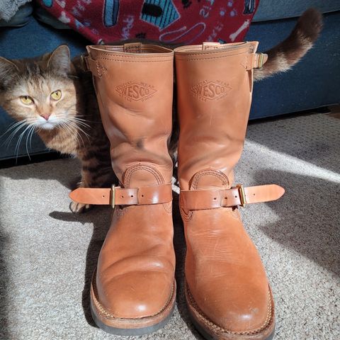 Wesco Mister Lou in Maryam Natural Horsebutt