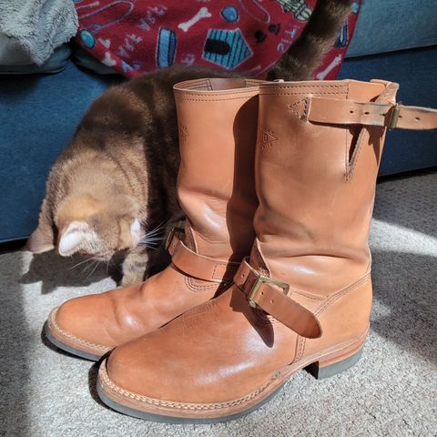 Wesco Mister Lou in Maryam Natural Horsebutt