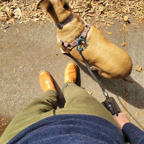 Wesco Mister Lou in Maryam Natural Horsebutt