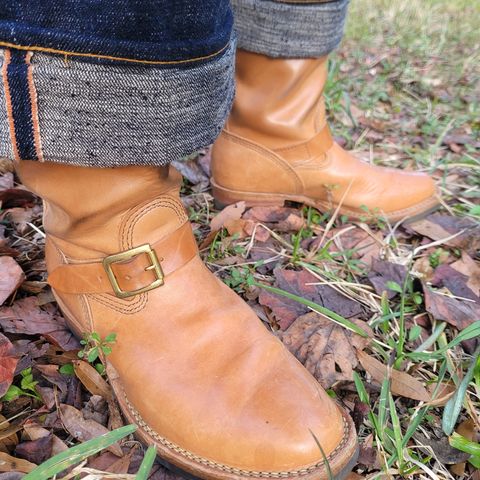 Wesco Mister Lou in Maryam Natural Horsebutt