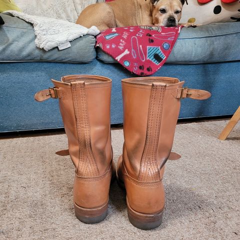 Wesco Mister Lou in Maryam Natural Horsebutt