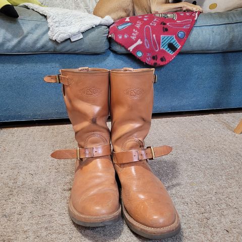 Wesco Mister Lou in Maryam Natural Horsebutt