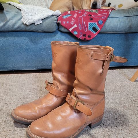 Wesco Mister Lou in Maryam Natural Horsebutt