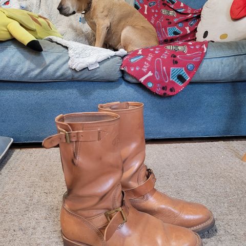Wesco Mister Lou in Maryam Natural Horsebutt