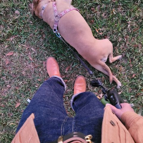 Wesco Mister Lou in Maryam Natural Horsebutt